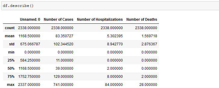 panda dataframe describe