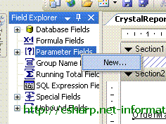 csharp-crystal-report-parameter