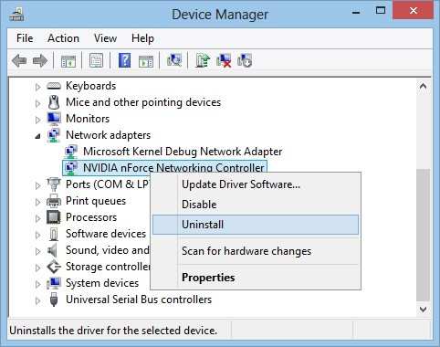 Microsoft kernel debug network. Сетевой контроллер NVIDIA NFORCE. Microsoft Kernel debug Network Adapter. Нфорс нетворк контроллер. How to install Network Adapter.